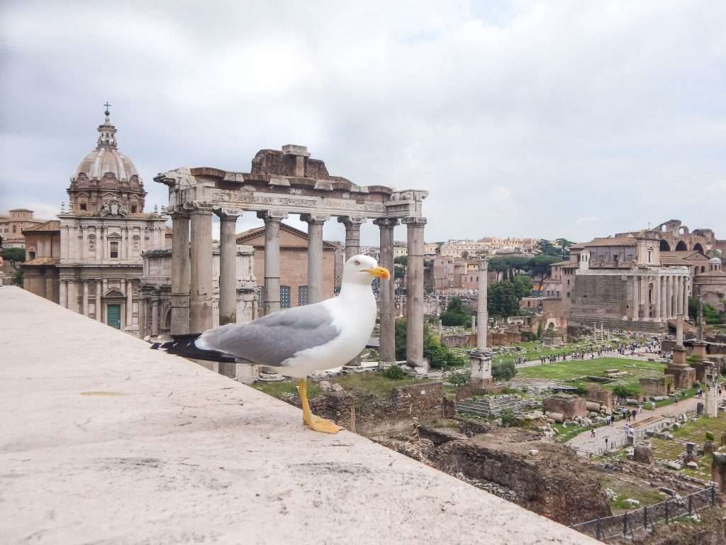 Fórum Romano. O Coliseu, o Fórum Romano e as Colinas Palatinas são definitivamente as ruínas romanas mais famosas de Roma. No entanto, existem muitos outros monumentos romanos que adornam a cidade, e seus arredores, mas aqui neste post destacaremos os principais monumentos romanos de Roma, aqueles que você não deve perder!